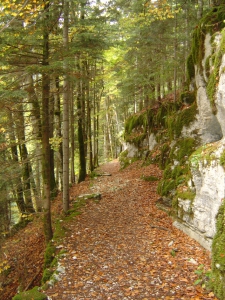 La descente, entre le parking et le Doubs