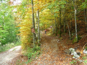 Peu après le barrage, quitter la route pour suivre le sentier qui grimpe