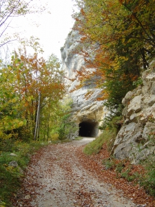 La route dans la forêt, en fin de balade