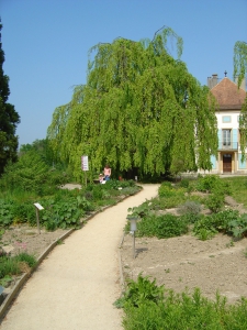 Arrivée à Champ-Pittet