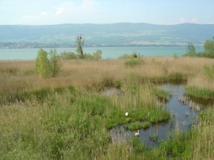 Vue depuis l'observatoire à oiseaux