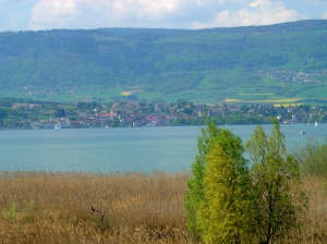 Vue sur Grandson et le Jura