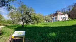 A Champ-Pittet, le château est situé au milieu d'un écrin de verdure