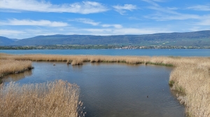 Vue depuis l'observatoire à oiseaux