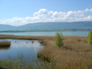 Vue depuis l'observatoire à oiseaux