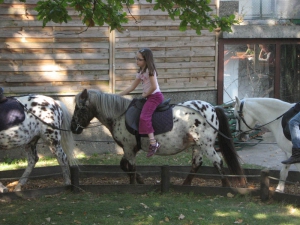 Sur les poneys