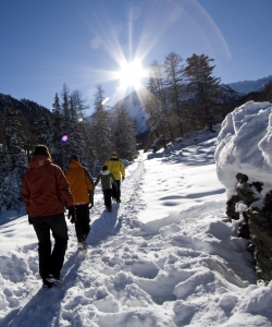 En hiver, dans la région de Nendaz