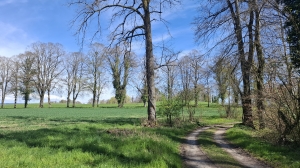 A l'arrivée sur Jolimont