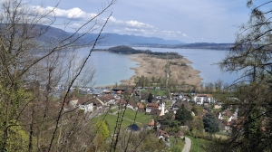 Vue sur Erlach et l'Île St-Pierre