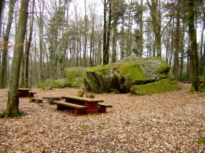 Les blocs erratiques entourés de tables et de bancs