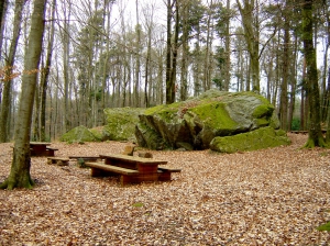 Les blocs erratiques entourés de tables et de bancs