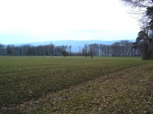 Des champs cultivés, sur la colline de Jolimont