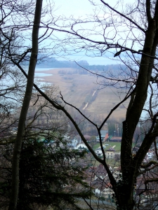 L'Ile St-Pierre, vue depuis Jolimont, au-dessus d'Erlach