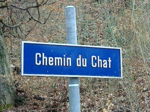 Photo n°5: Le chemin... qui miaule!Attention, le panneau a disparu! Le Chemin du Chat est celui qui monte à gauche, en bas de la grande descente, avant le pont.