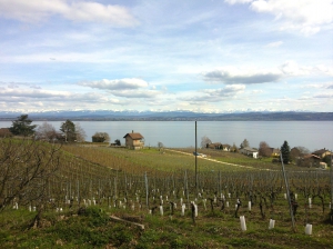 Vue sur le lac de Neuchâtel, au retour de la balade