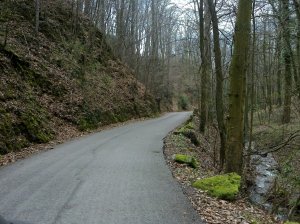 Photo n°4: La descente dans la forêt