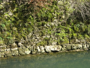 Vestige du canal d’Entreroches