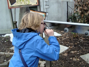 Tubes à sentir, dans le jardin de la sorcière