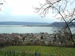 Vue depuis la place de pique-nique