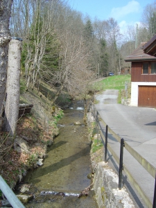 Arrivé au bas de la descente, remonter le cours du Flon