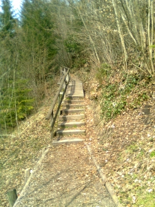 Chemin longeant la rivière