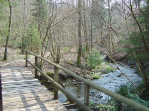Un des nombreux ponts en bois enjambant Le Flon