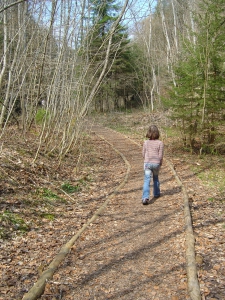 Agréable sentier dans la forêt