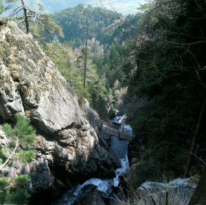 Depuis les gorges on aperçoit dans le fond la Tête des Crêtes