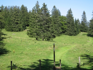 Au départ de la Grand'Vy