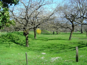 Un magnifique jardin, croisé au gré de notre balade