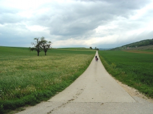 Un chemin goudronné (presque sans trafic), à perte de vue