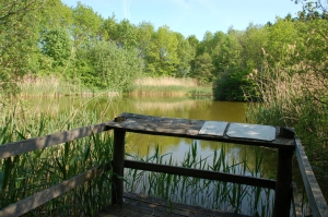 Deuxième ponton d'observation et vue sur les poissons