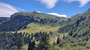 Au fond, l'alpage de la Tovassière