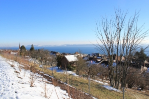 Au départ de la promenade forestière