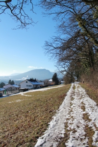 Promenade forestière