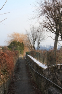 Promenade vigneronne