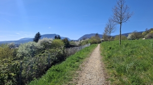 Départ de la Promenade forestière