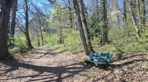 Dans la forêt, plusieurs bancs jalonnent le sentier