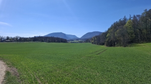 Les champs et au fond le Creux-du-Van
