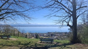 Vue sur le lac et les Alpes