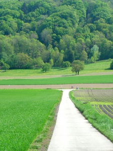 Le chemin goudronné, agréable à pratiquer à vélo