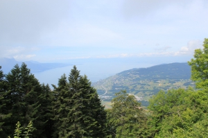 Vue depuis la terrasse du restaurant