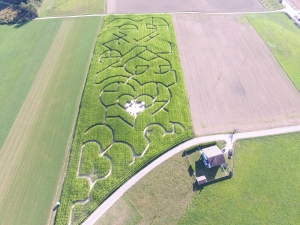 Le labyrinthe en 2021: les cœurs