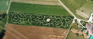 Labyrinthe 2023, les vagues