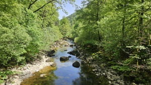 L'Areuse
