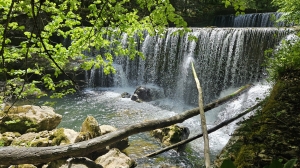 L'Areuse