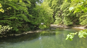 L'Areuse coule par endroits paisiblement