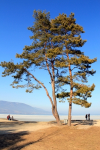 La plage d'Yverdon