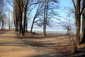 Le sentier reliant le site des menhirs de Clendy à la plage