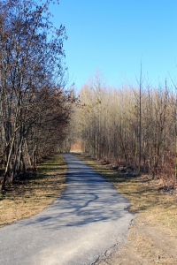 Partie de chemin goudronné